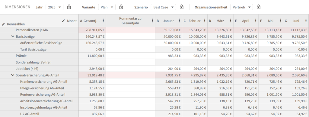 Personnel cost planning by QVANTUM